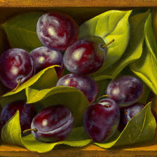 Схема вышивки «Сливы»