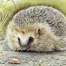 Схема вышивки «№1136956»