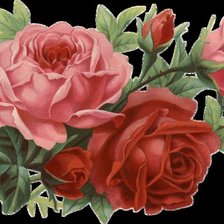 Схема вышивки «№1137399»