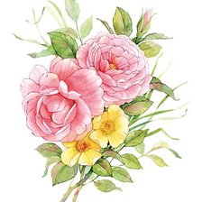 Схема вышивки «№1137417»