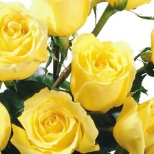 Схема вышивки «№1137545»