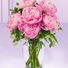 Схема вышивки «№1137548»