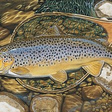 Схема вышивки «Серия "Рыбалка"»