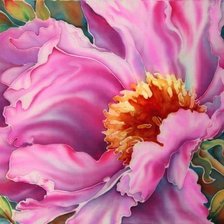 розовый цветок