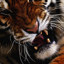 Схема вышивки «Настроение»