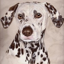 Схема вышивки «Долматинец»