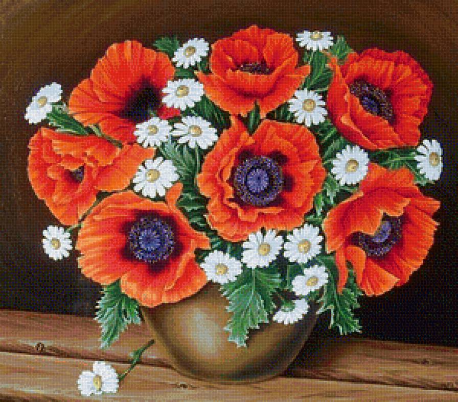 Полевые цветы - маки, цветы - предпросмотр