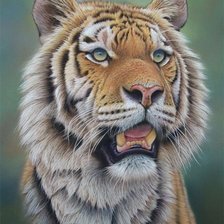 Схема вышивки «№1138056»