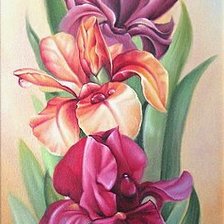 Схема вышивки «ирисы»