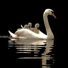 Схема вышивки «№1138256»