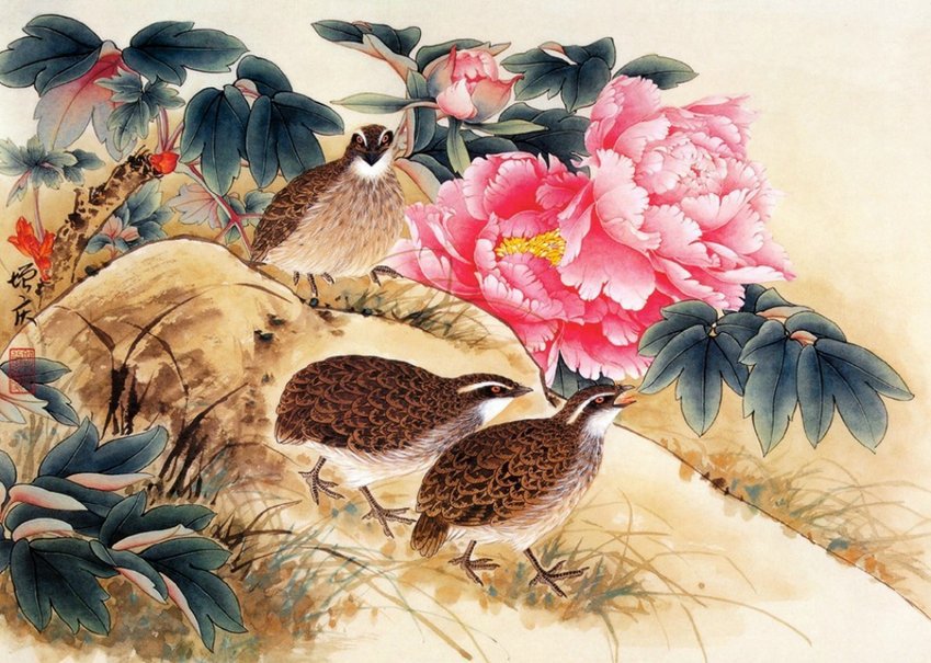 птицы - фауна - оригинал