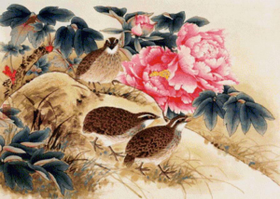 птицы - фауна - предпросмотр