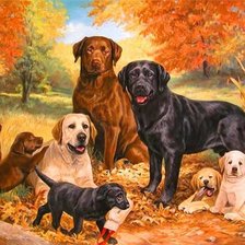 Схема вышивки «№1138724»