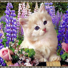 Схема вышивки «№1138728»