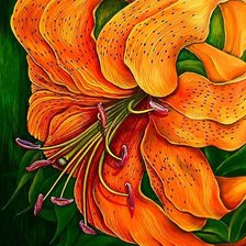 Схема вышивки «огненный цветок»