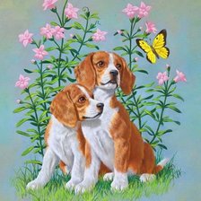 Схема вышивки «№1138950»