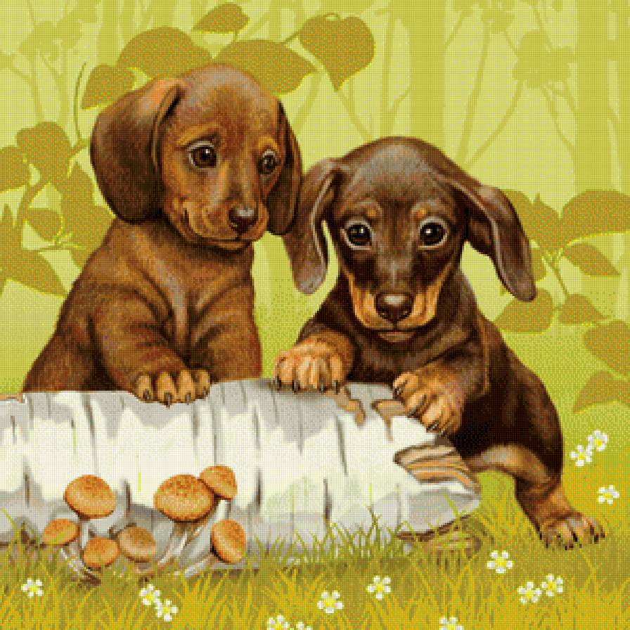 №1138957 - щенок, песик, пес, собаки, собака, такса - предпросмотр