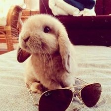 Схема вышивки «Крольченок»