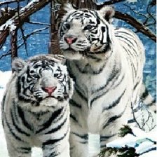 Схема вышивки «№1139714»