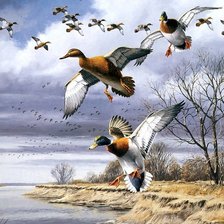 Схема вышивки «Серия "Пташка"»