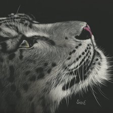 Схема вышивки «Тигр»