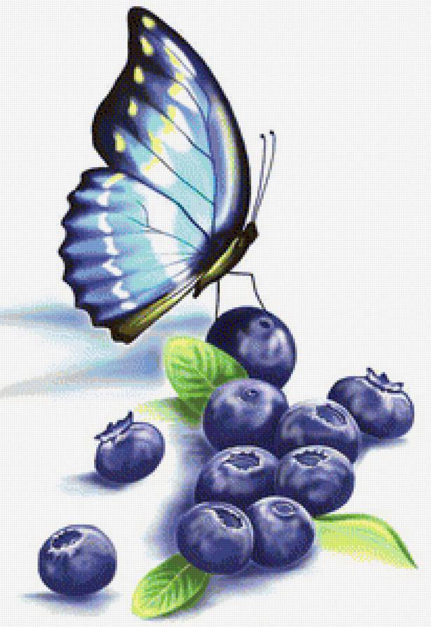 Бабочки и черника - на кухню, ягоды, насекомые, ягода - предпросмотр