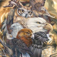 Схема вышивки «Птицы»