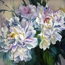 Схема вышивки «Пионы»