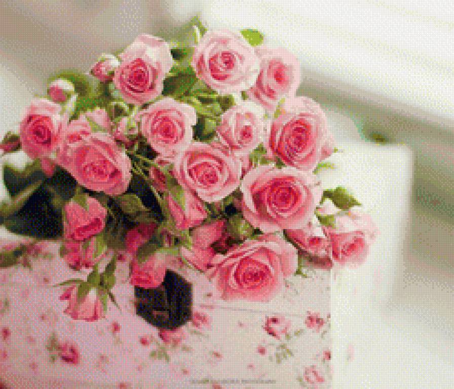 КВІТИ - квіти - предпросмотр