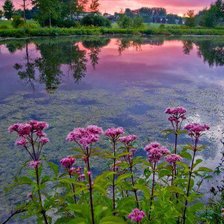 Схема вышивки «Рассвет над рекой»