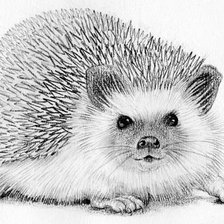 Схема вышивки «№1141011»