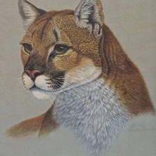 Схема вышивки «Кугуар»