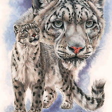 Снежный барс