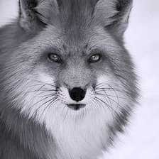 Схема вышивки «№1141609»