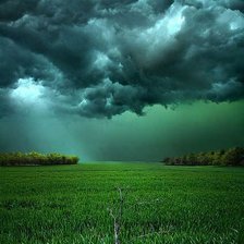 Схема вышивки «Природа»