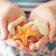 Схема вышивки «На ладони»