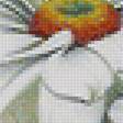 Предпросмотр схемы вышивки «Ромашки» (№1141858)