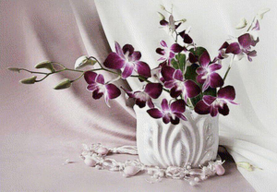 Орхидеи - предпросмотр