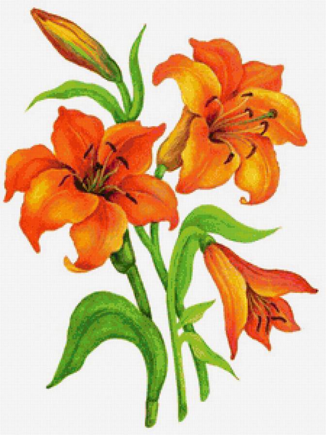 Лилии - лилии, цветы, букет - предпросмотр