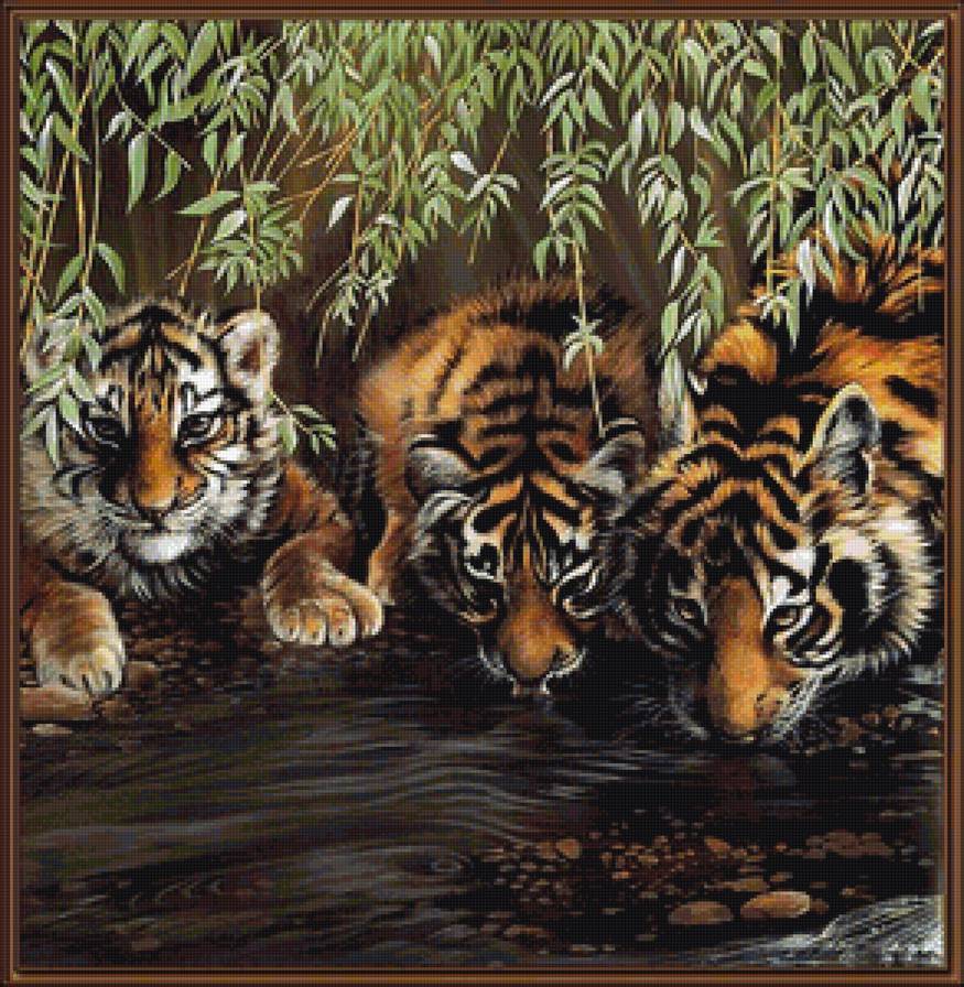 Тигры - кошки, животные - предпросмотр