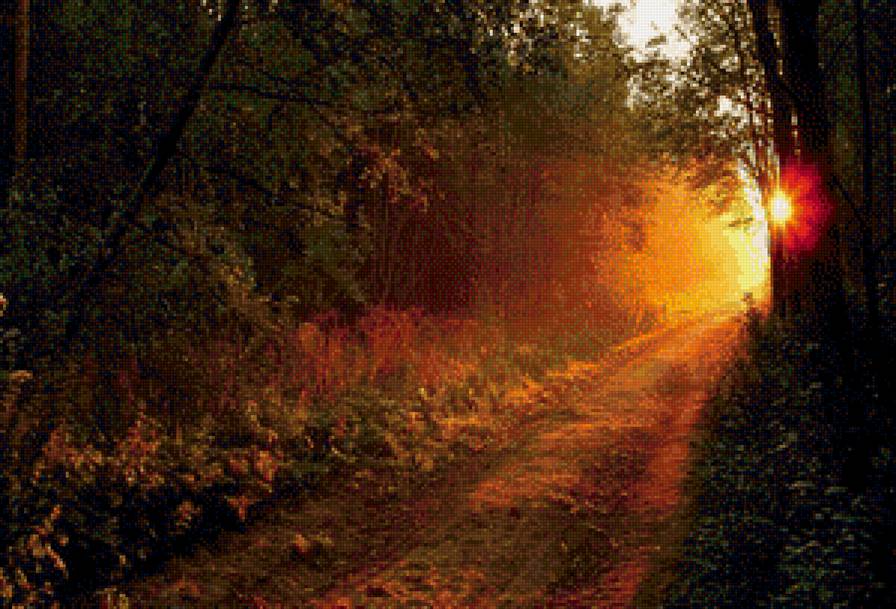 заката на лесной дороге - закат, вечер, лето, лес, дорога - предпросмотр