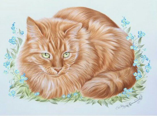 рыжий кот - оригинал