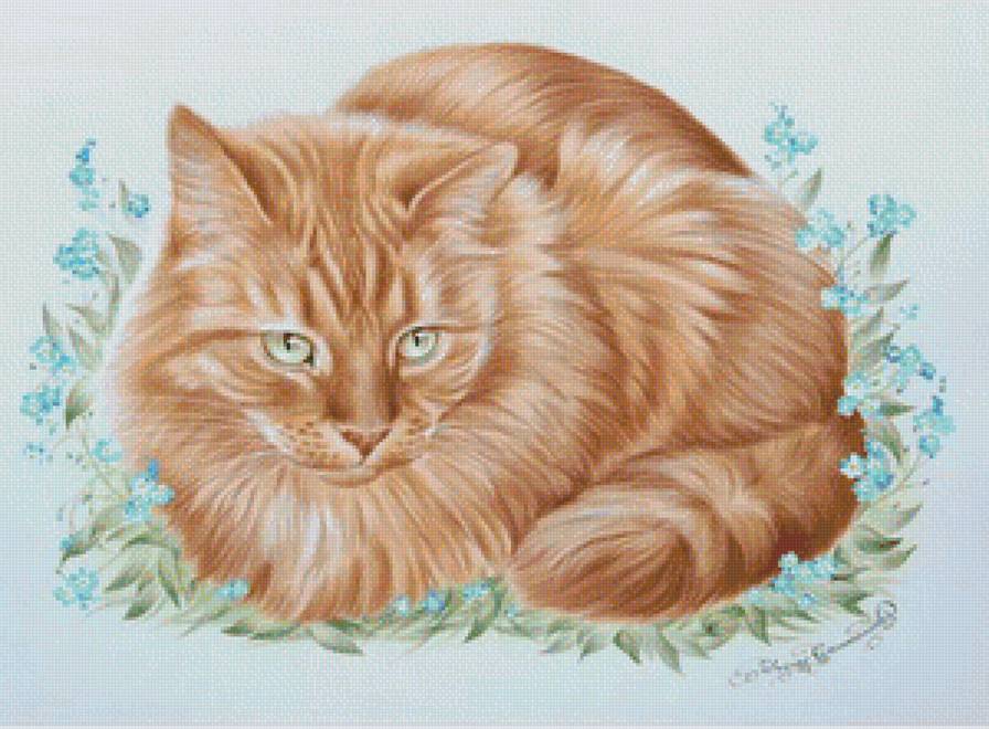 рыжий кот - предпросмотр