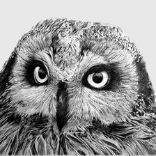 Схема вышивки «Мудрый взгляд»