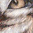Предпросмотр схемы вышивки «Пума» (№1142588)