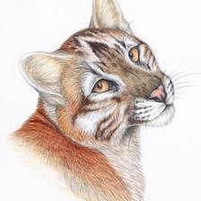 Схема вышивки «Пума»