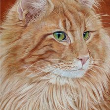 Схема вышивки «Рыжий красавец»