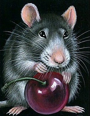 Мышка - животные - оригинал