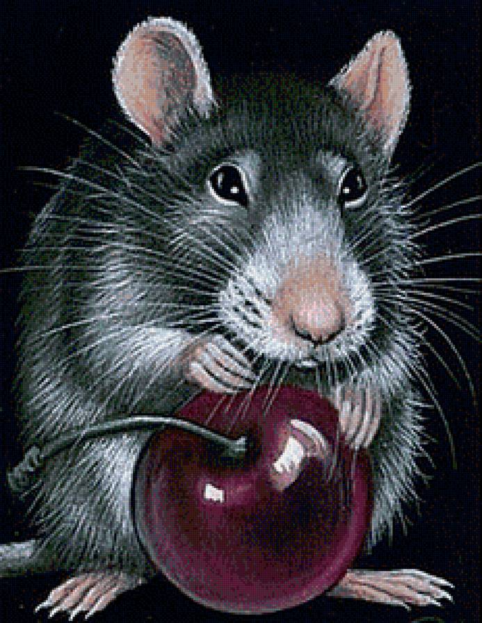 Мышка - животные - предпросмотр