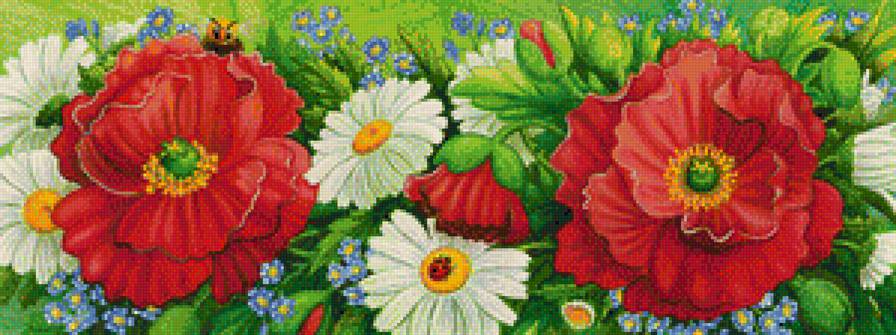 Полевые цветы - цветы, маки - предпросмотр